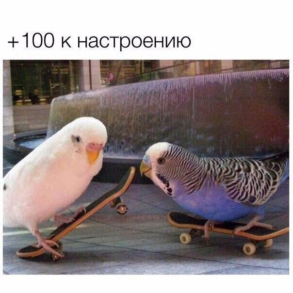 Так себе картинки 25.08.21