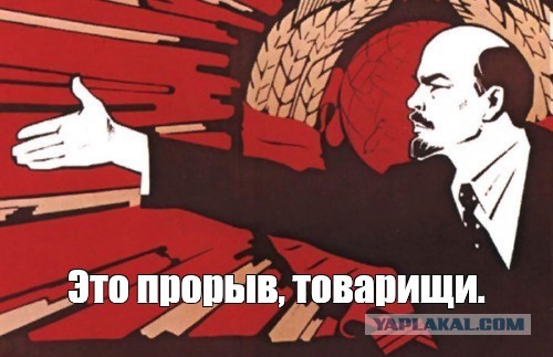 Россия практически полностью обеспечивает себя устрицами — Росрыболовство