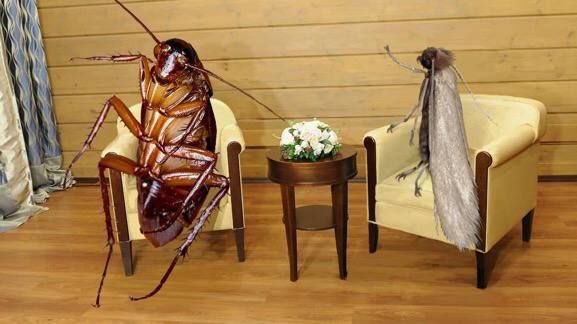 Президент Филиппин объявил об уходе из политики заявив, что повинуется воле народа