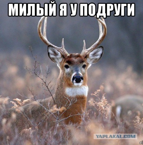 "После кого-то брезгую" слова мужа жене после её признания