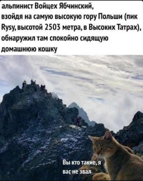 Картинки с надписями и всякие жизненные фразы