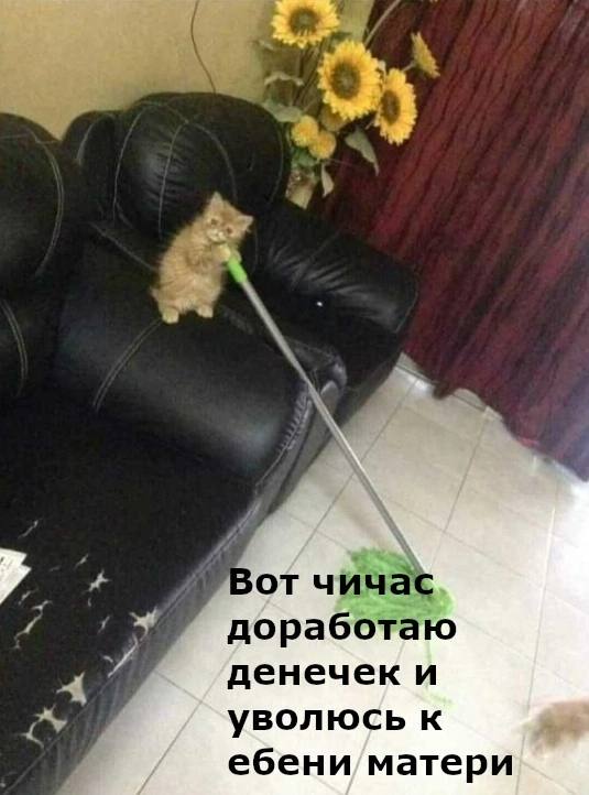 Немного мемчиков. Для взрослых 18+. Часть 13
