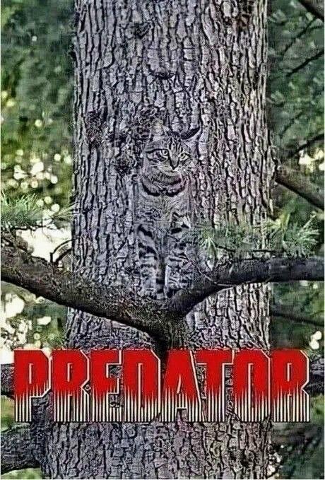Картинки и мемы, всем хороших выходных