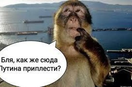 Каблук в Wildberries