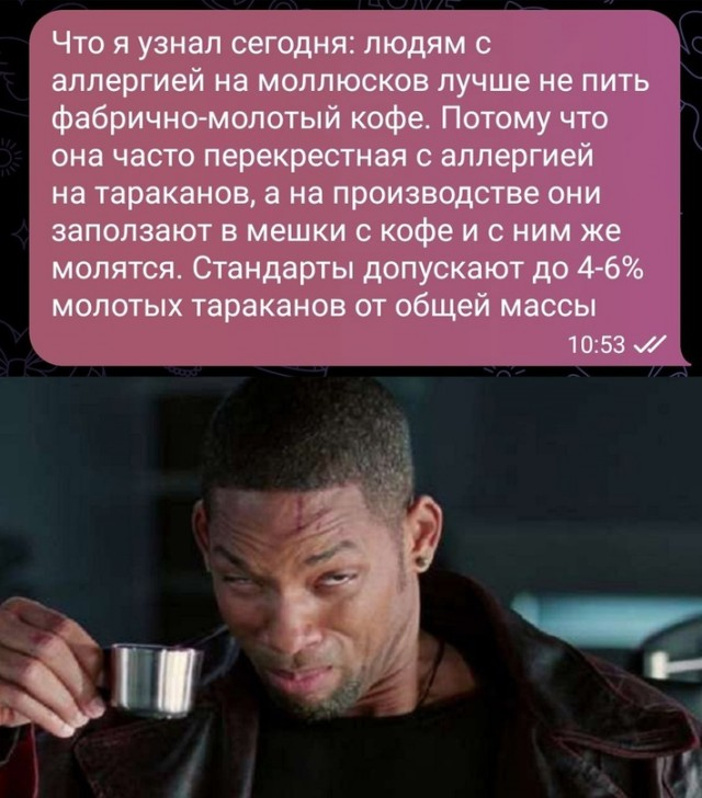 Весёлый полтишок 18.01.24
