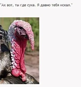 Пользователи Твиттера заметили сходство во внешности Евгения Пригожина и басиста из метал-группы Venom Inc.