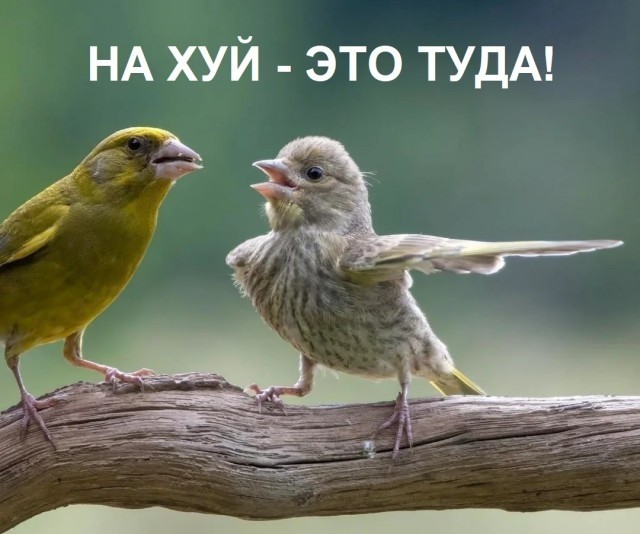Набиуллина назвала отрасли, где россияне дохера многа стали получать