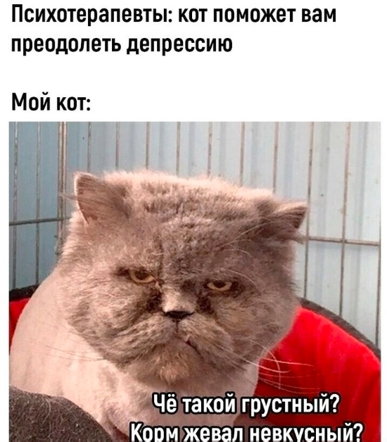 Маленькая пятница