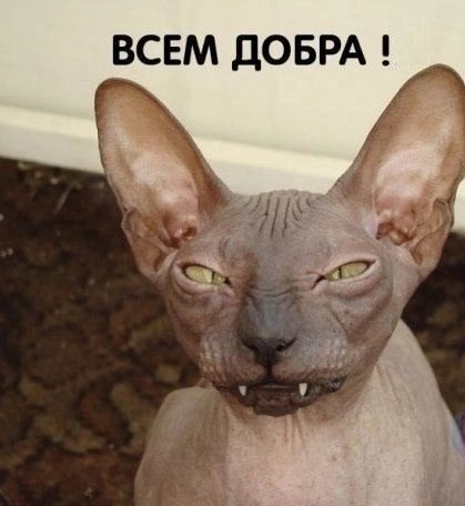 Так себе картинки 29.11.24