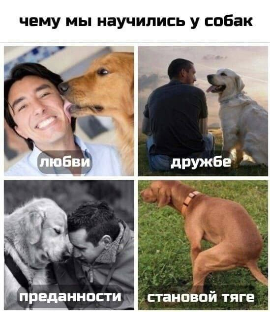 Гантелька