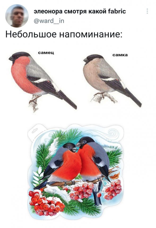 https://s00.yaplakal.com/pics/pics_original/1/1/8/20272811.jpg