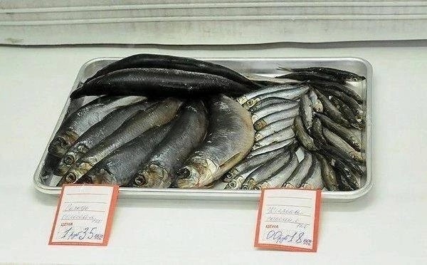​ Фотографии из прошлого нашей страны – 116