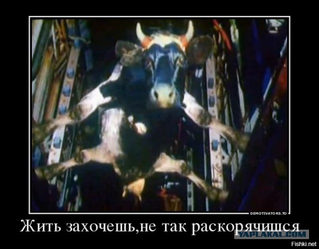 Тренировка сотрудника