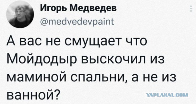 Картинки для деградации 92 (разной степени свежести)