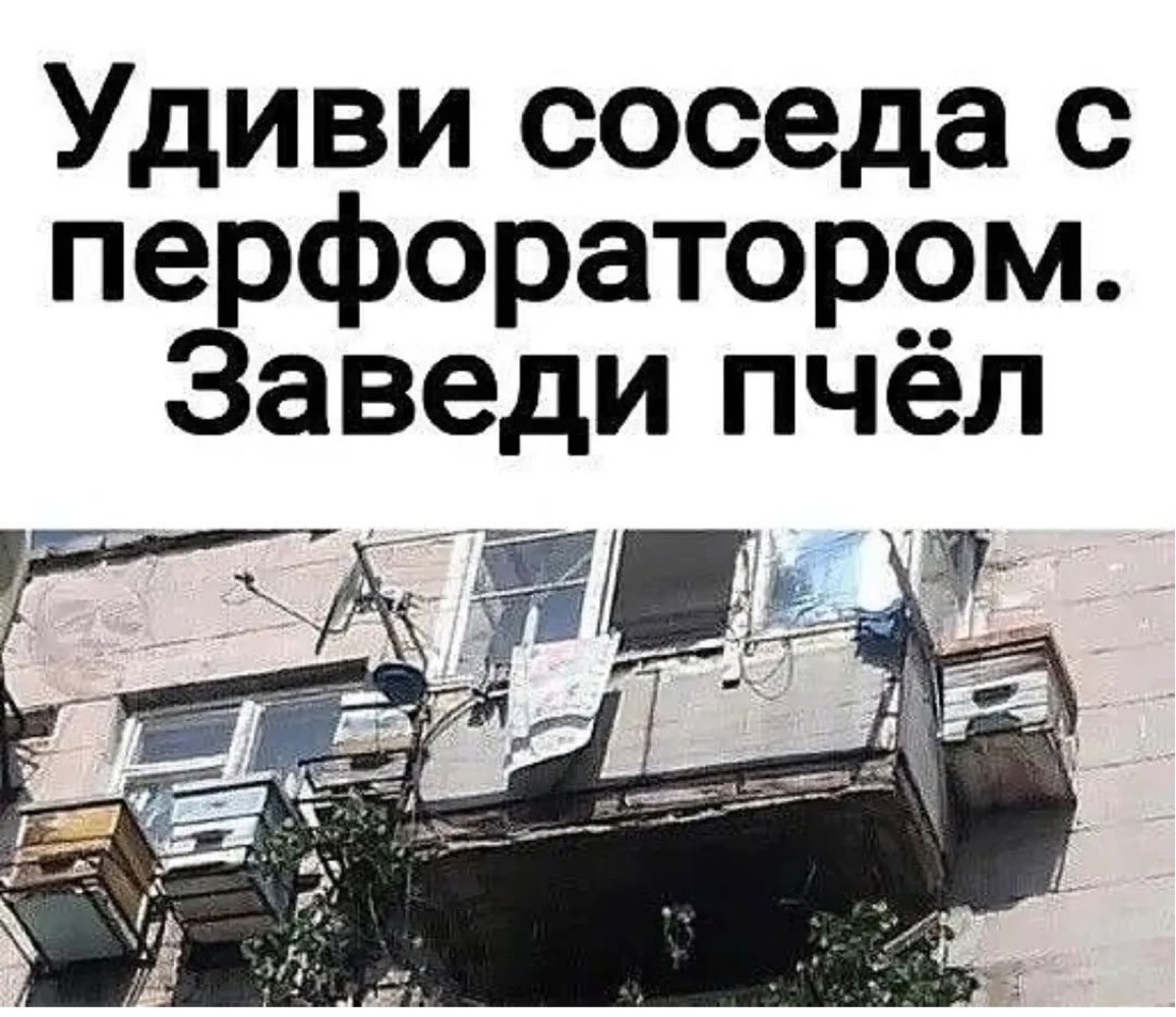 20670811.jpg