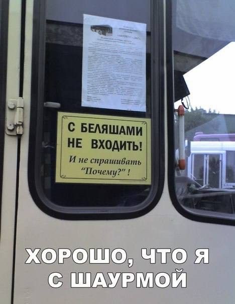 Воскресные картинки