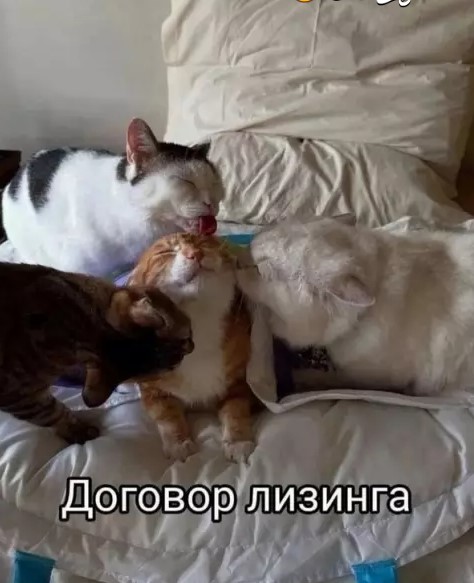 Картиночки, баянчики 18 марта