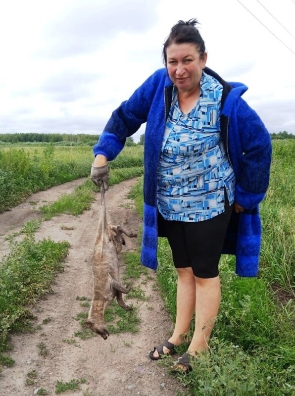 Вампирские козы Колумбии