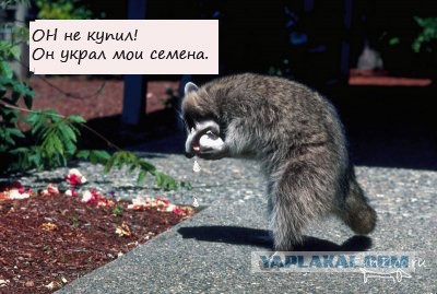 У меня радость!