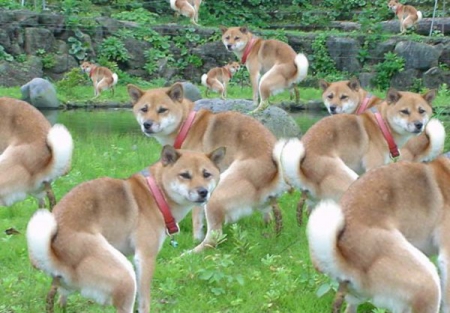 Первоочередные знания - тайский учебник англ/яза