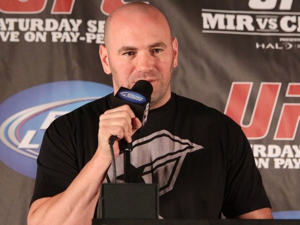 БОКС/MMA....