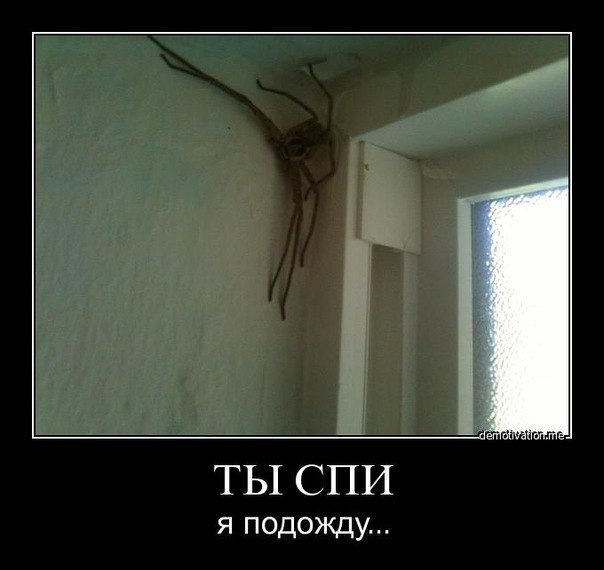 Что за тварь?