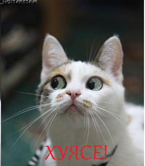 Истории от врачей