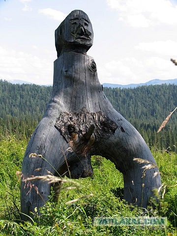 Раскоряка 18+