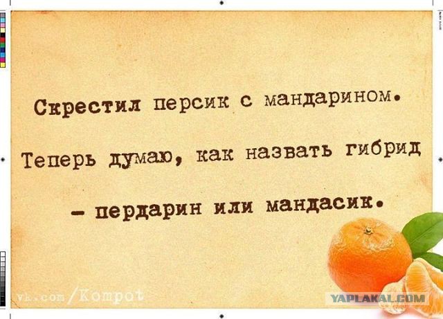 Весёлое из сети