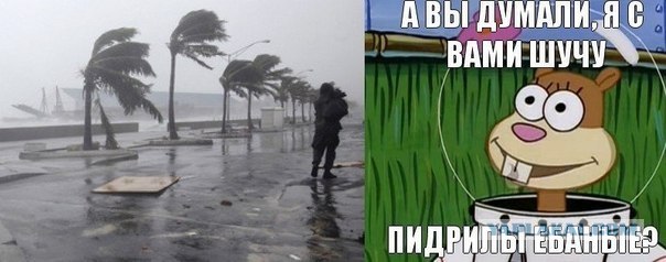 Когда вы минусуете уже заминусованного