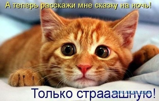 Известные котомемы.