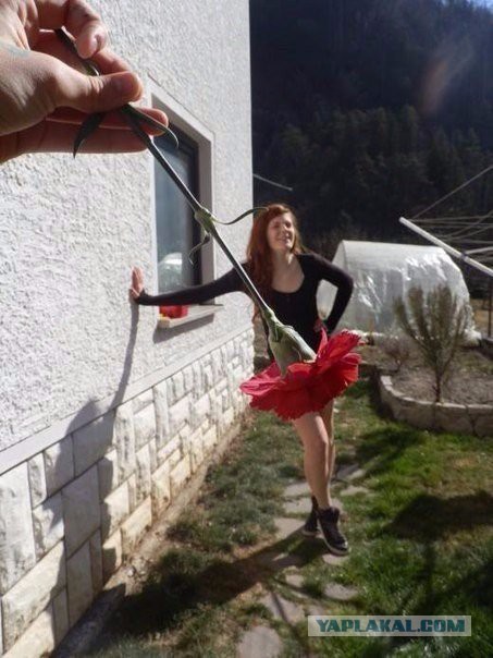 Просто картинки. Всяко разно, не заразно.