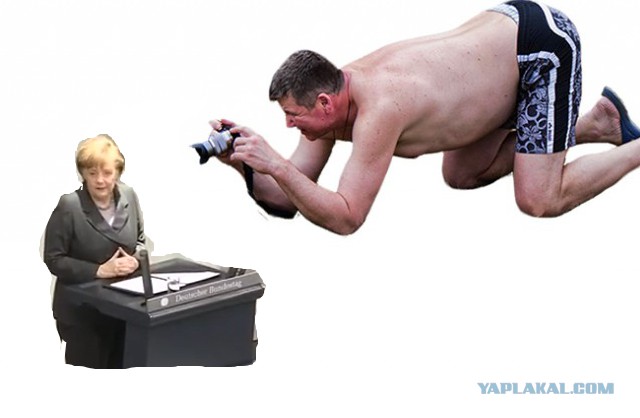 Жаба: Фотолюбитель