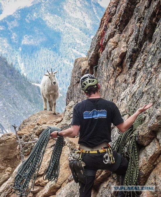 Подборка интересных и веселых картинок