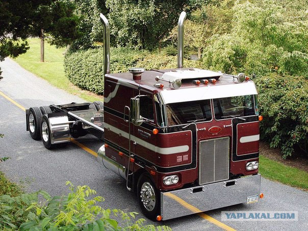 Все считают нас крутыми