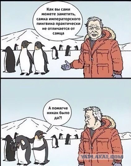 Есть женщины в русских селеньях