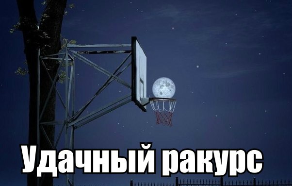 Подборка безудержного веселья