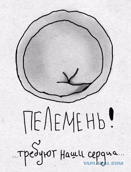 Подборка интересных и веселых картинок