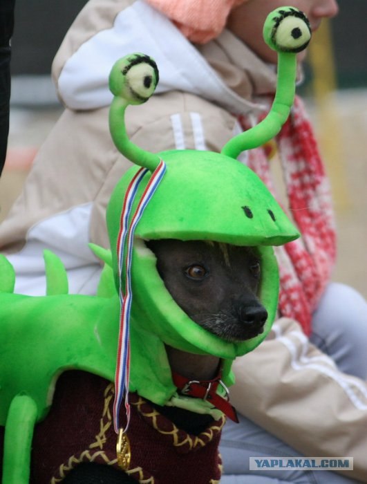 Костюм на Halloween