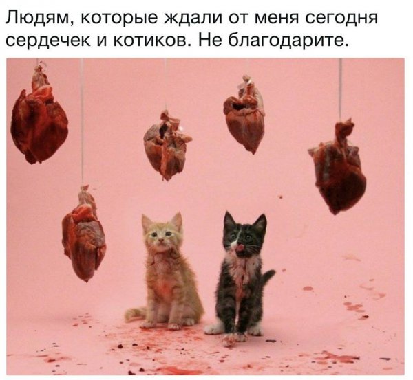 Чего на самом деле хотят женщины