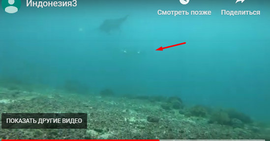 Чудеса? Да запросто! Индонезия