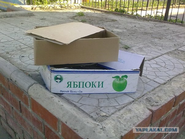 Казусы моего города. Часть первая