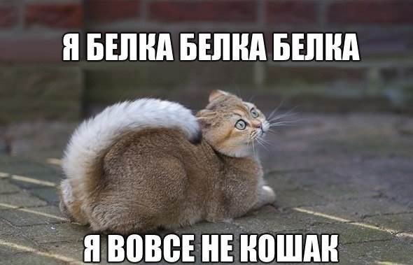 Прикольные и просто красивые картинки 12.10.2021