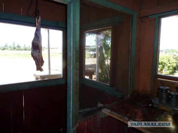 AFRICA - (Эфиопия,Кения,Танзация) 4-16 ноября 2011