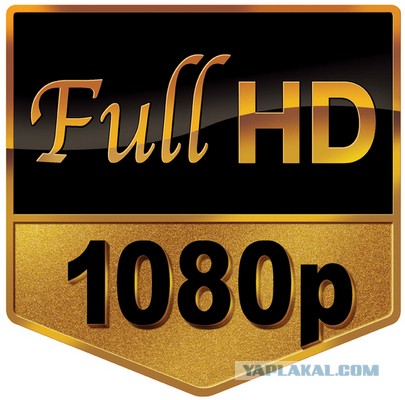 Дураки на Дороге