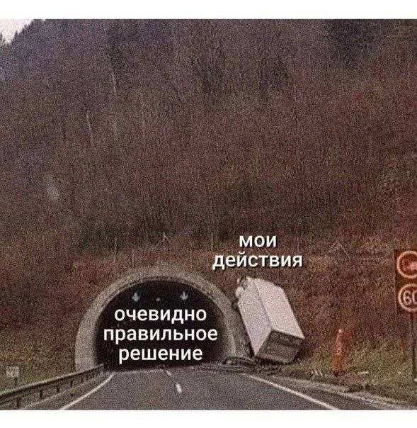 Весёлый полтишок 22.10.23