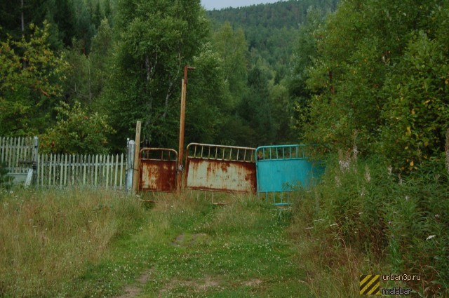 Королевская ночь, «Зарница» и День Нептуна: семь традиций советских пионерских лагерей