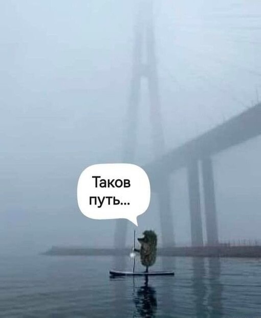 Так себе картинки 24.11.24