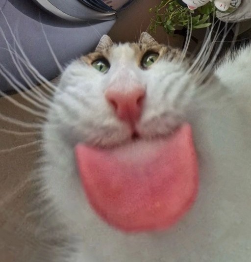 Экзистенциональный парадокс