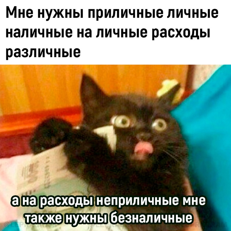 Картинки для деградации 17 (разной степени свежести)